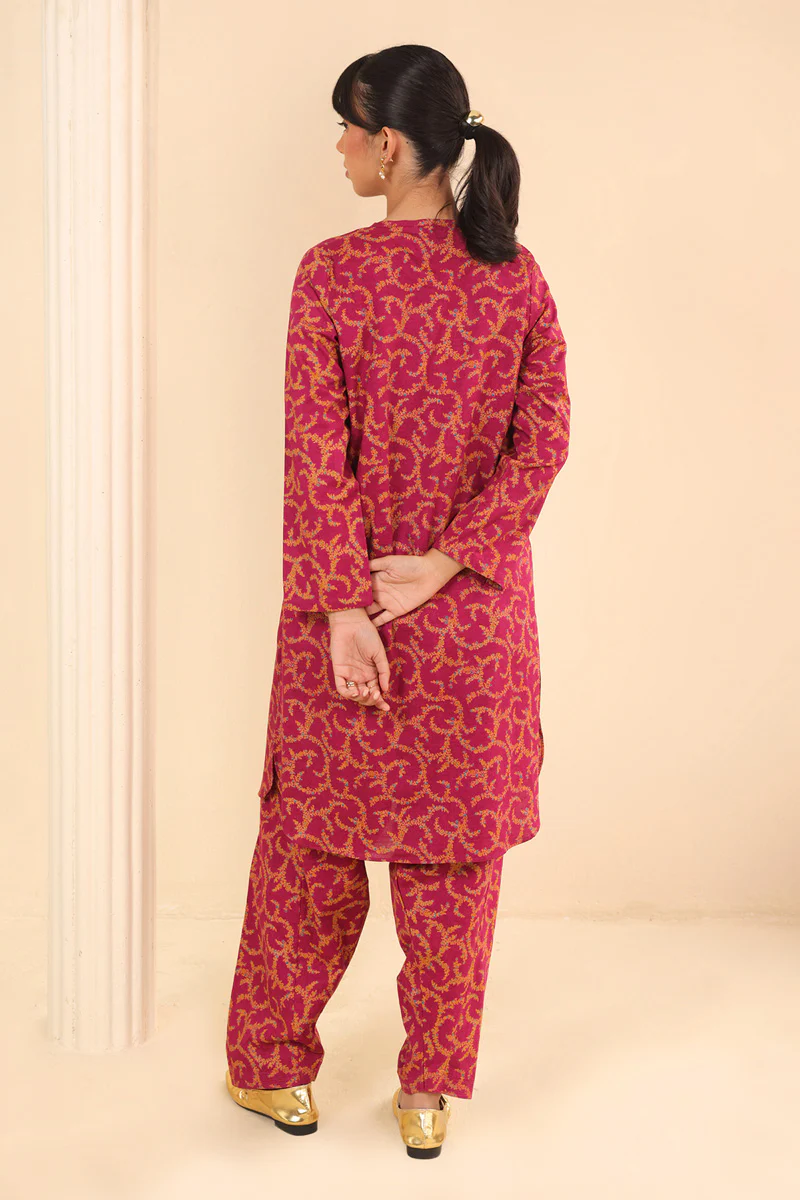 Printed Paiseley Dream 2 Piece - Image 12