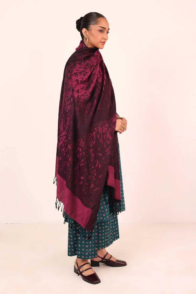 Fall Vibes Shawl - Image 5
