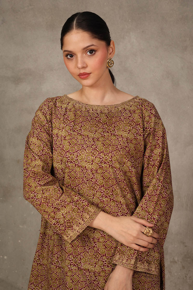Bagru Embroidered 2-Piece - Image 11