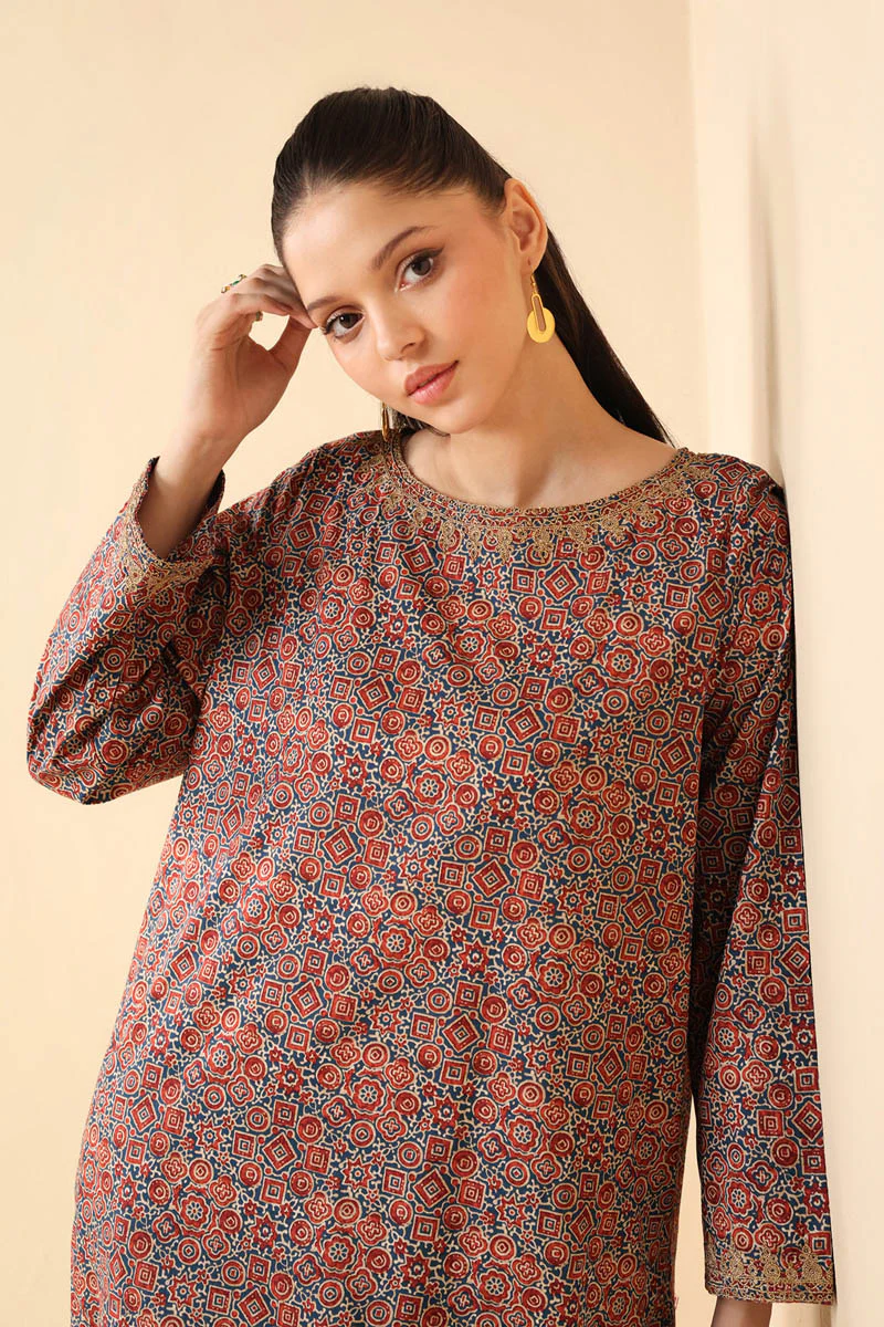 Bagru Embroidered 2-Piece - Image 3
