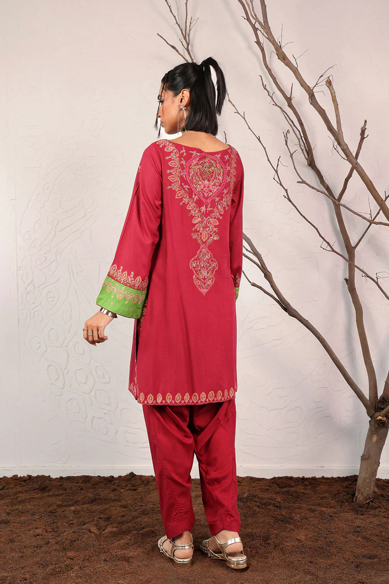 Tasseled Chaar Kali 2 Piece - Image 5
