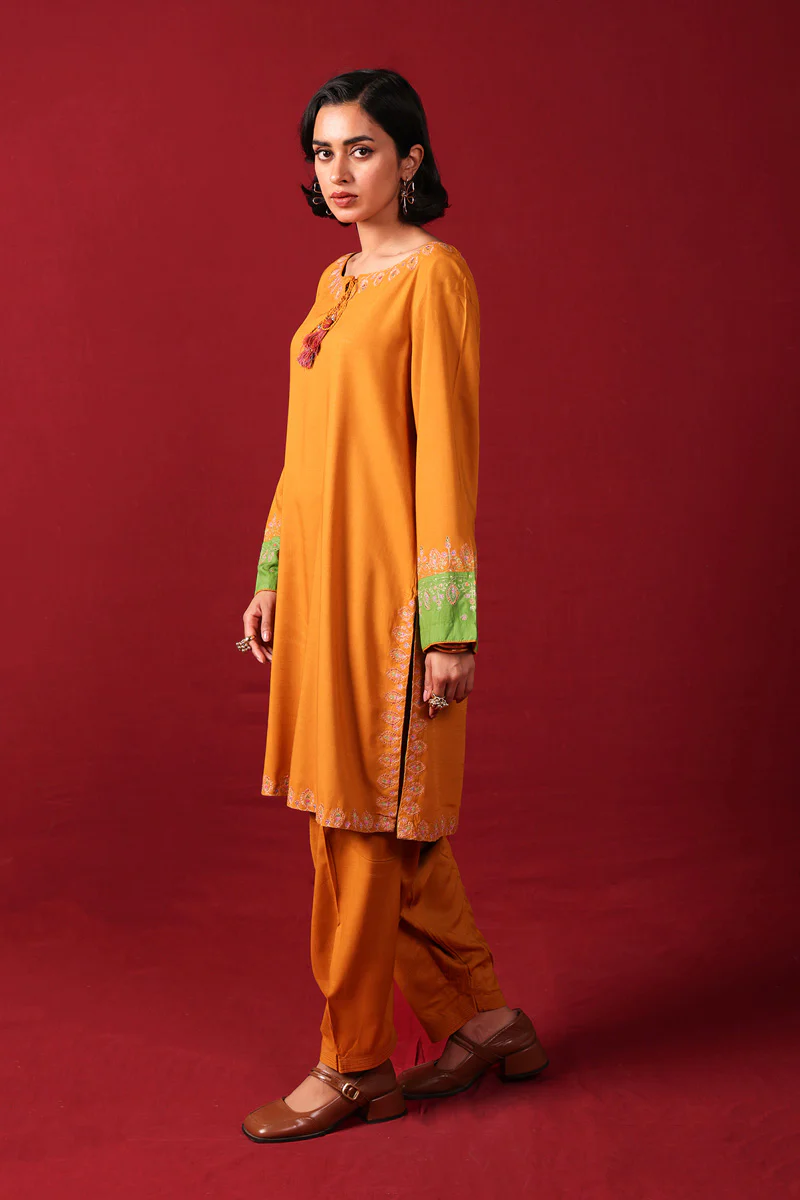 Tasseled Chaar Kali 2 Piece - Image 8