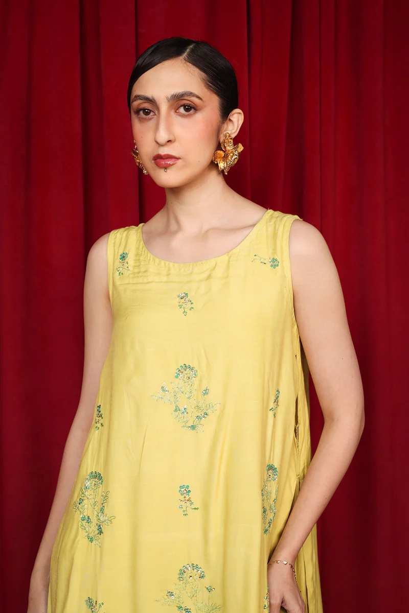 Beetlewing Andaz Kurta - Image 2