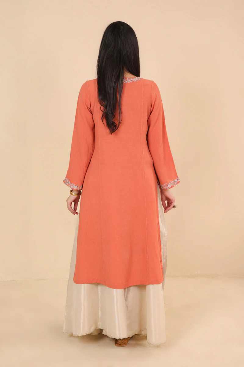 Sona Chandi Embroidered Kurta - Image 4