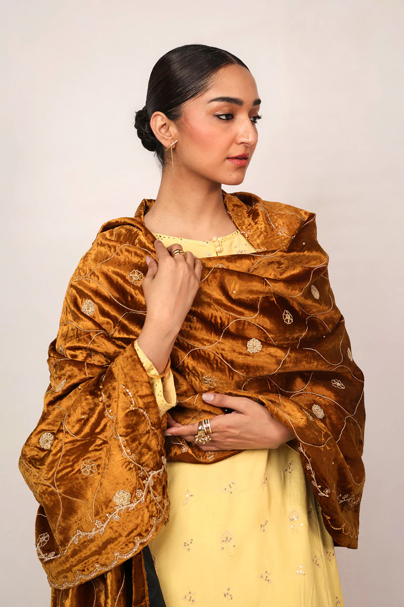 Luxury velvet Shawl - Image 4