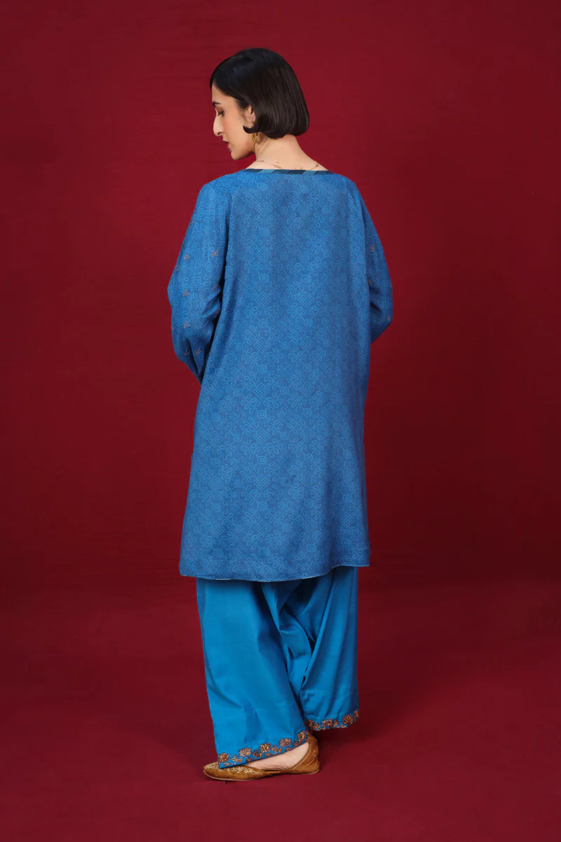 Aari Glam Sanat Suit - Image 4