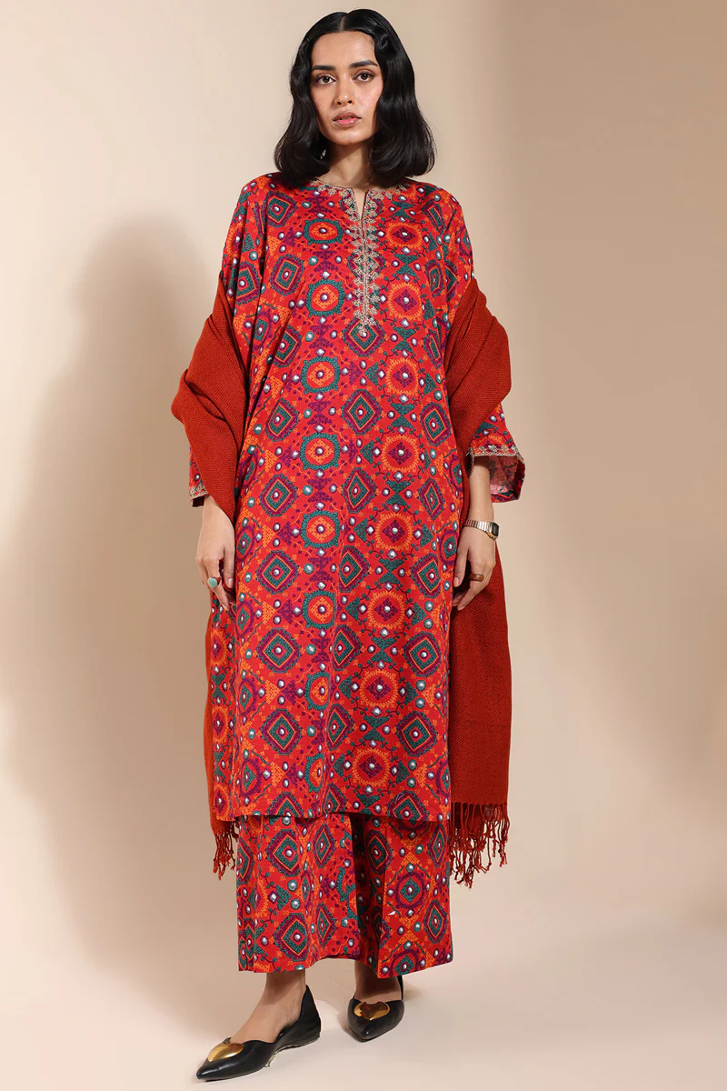 Soul of Sindh Duo-Set - Image 13