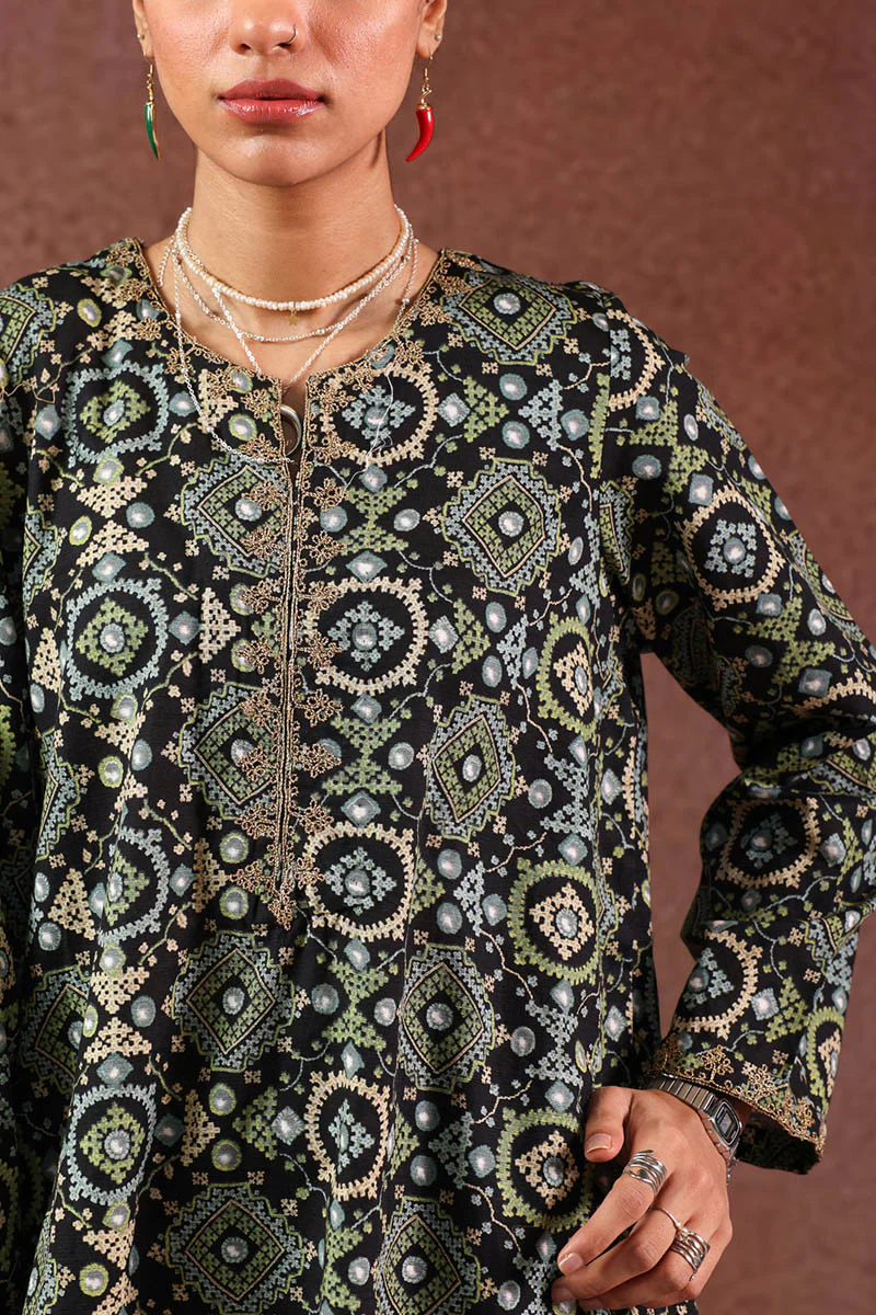 Soul of Sindh Duo-Set - Image 8
