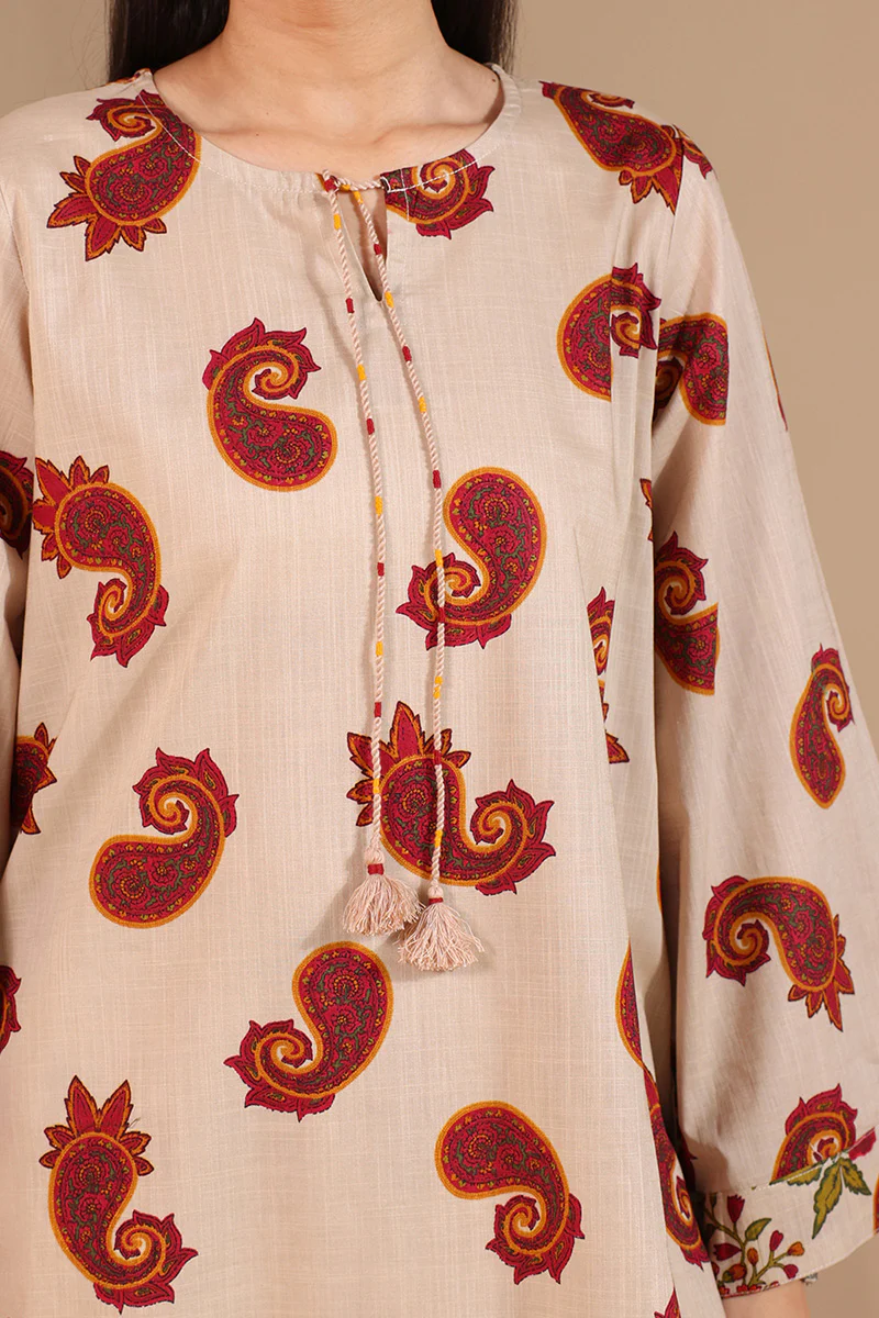 Gulbahar Cheent Paisley Set - Image 9