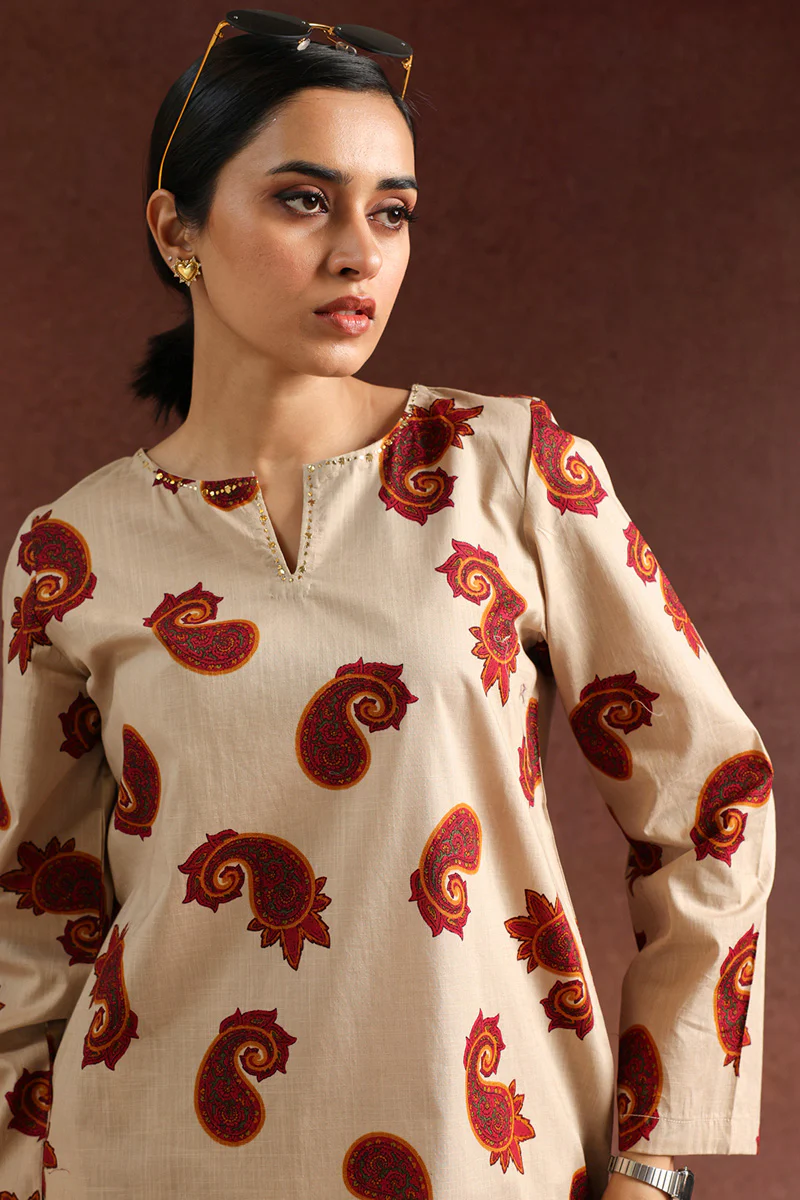 Cheent Paisley Mukaish Set - Image 2