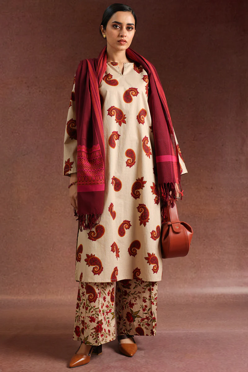 Cheent Paisley Mukaish Set - Image 3