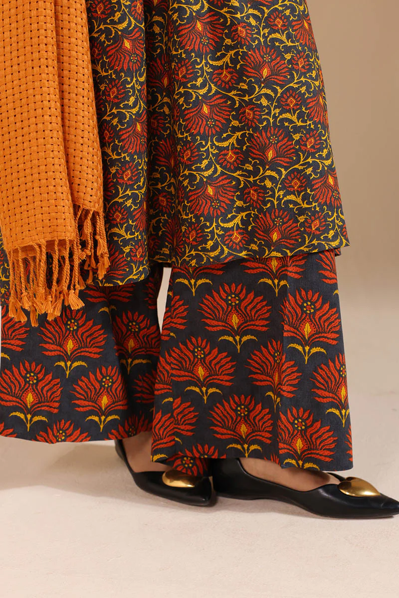 Rani Bagh Printed Set - Image 8