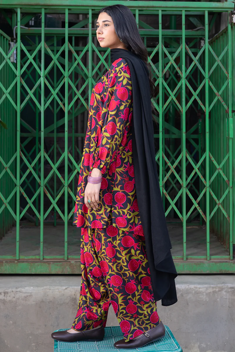 Anar Rang Suzani Set - Image 5