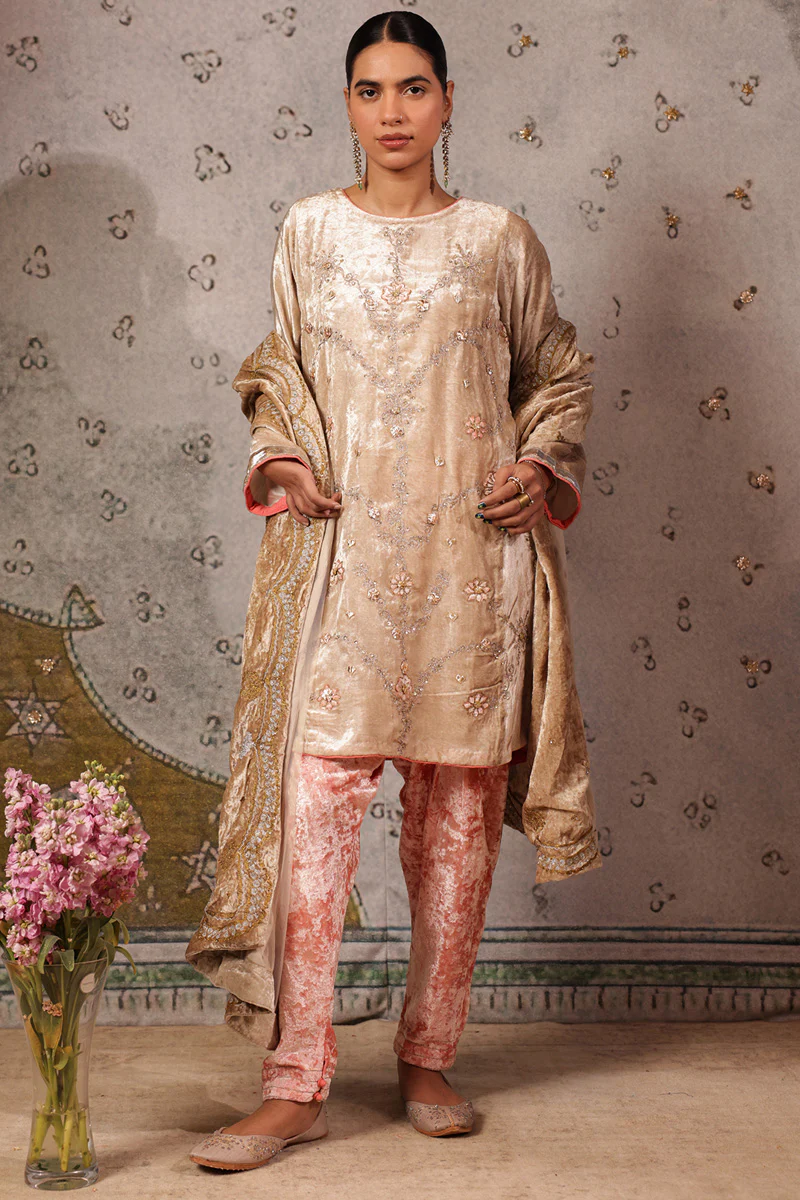 Velvet Bahaar 3-Piece Ensemble - Image 5