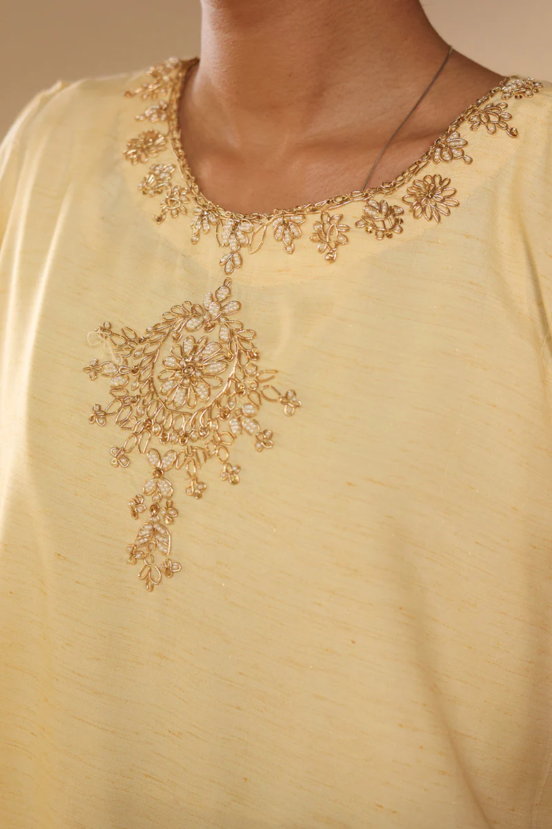 Gilded Polki Embroidered Set - Image 4
