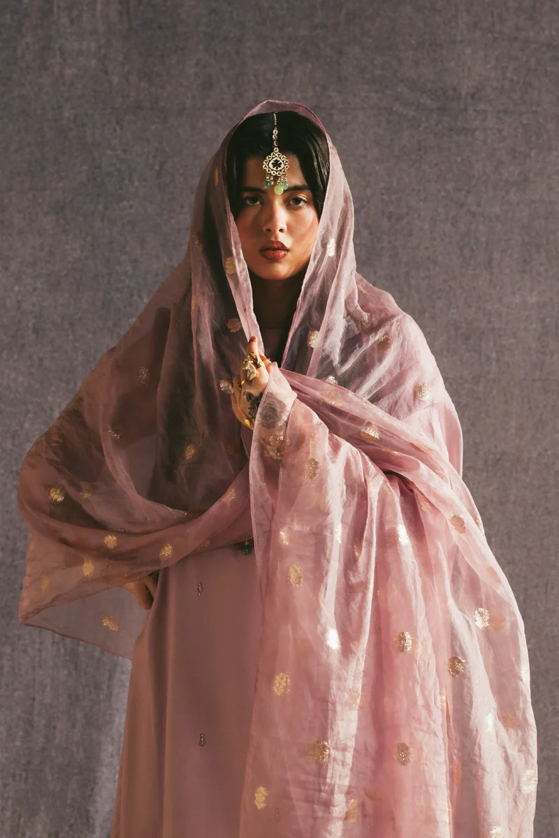 Raqs-e-Nur Sharara Set - Image 2