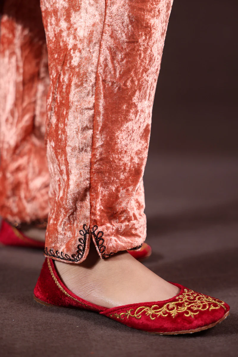 Rang Saaz Velvet Set - Image 6