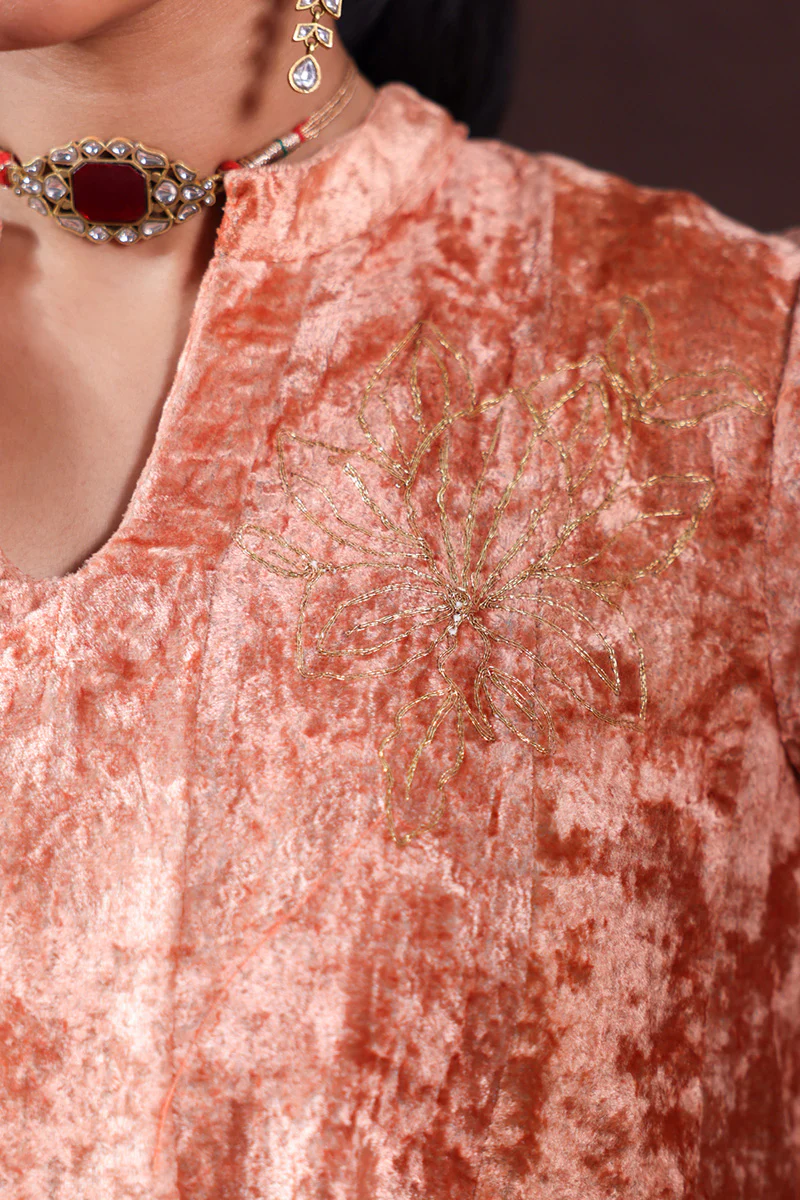 Embroidered Velvet Kalidar Set - Image 7