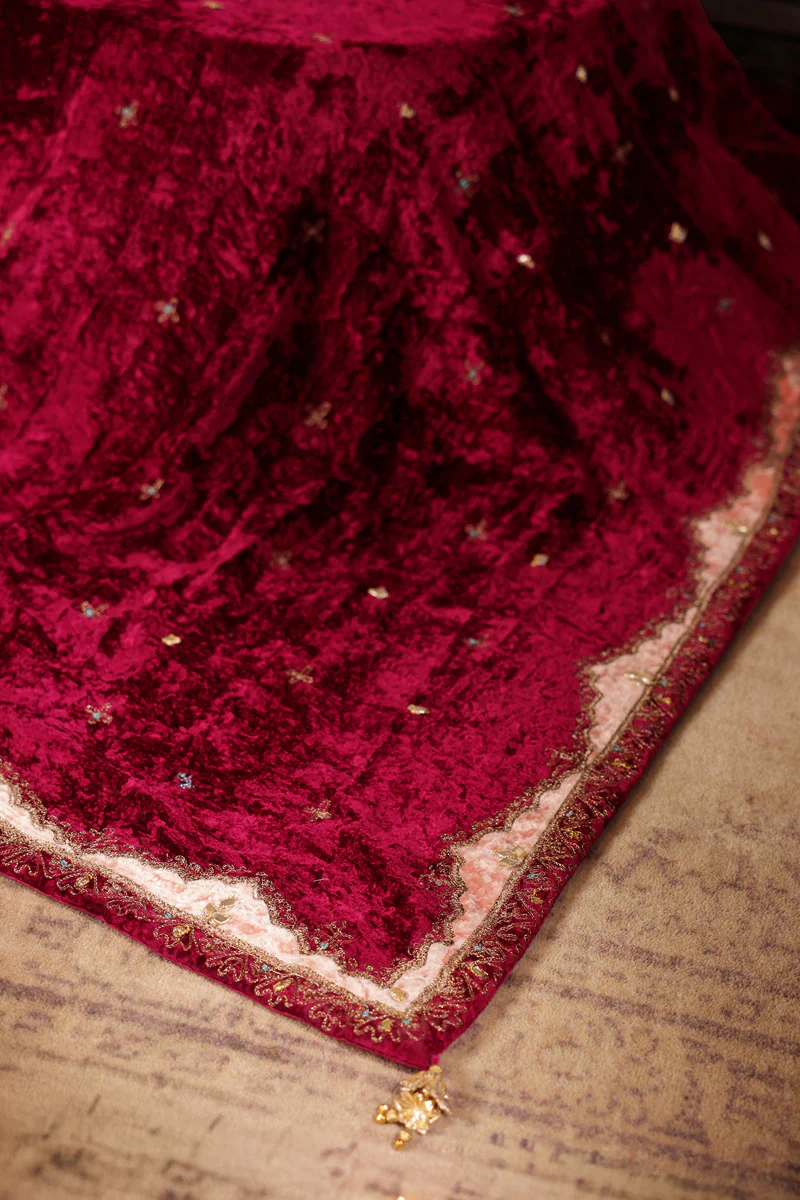 Gilded Velvet Shawl - Image 3